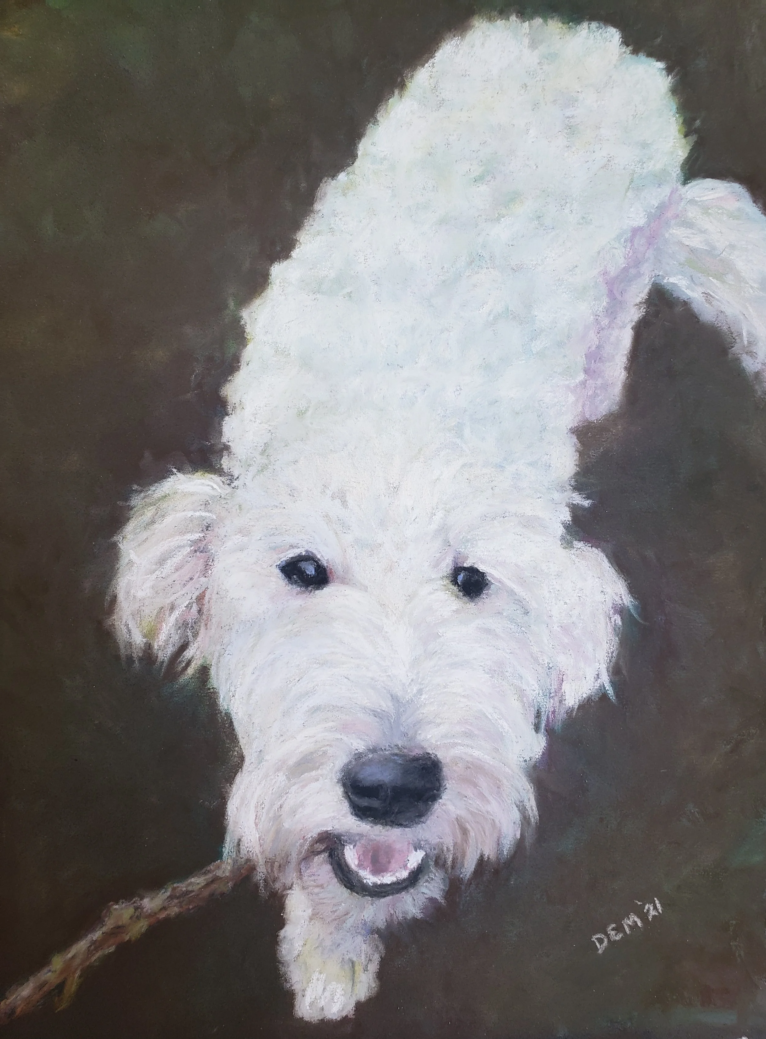 Tucker, pastel.