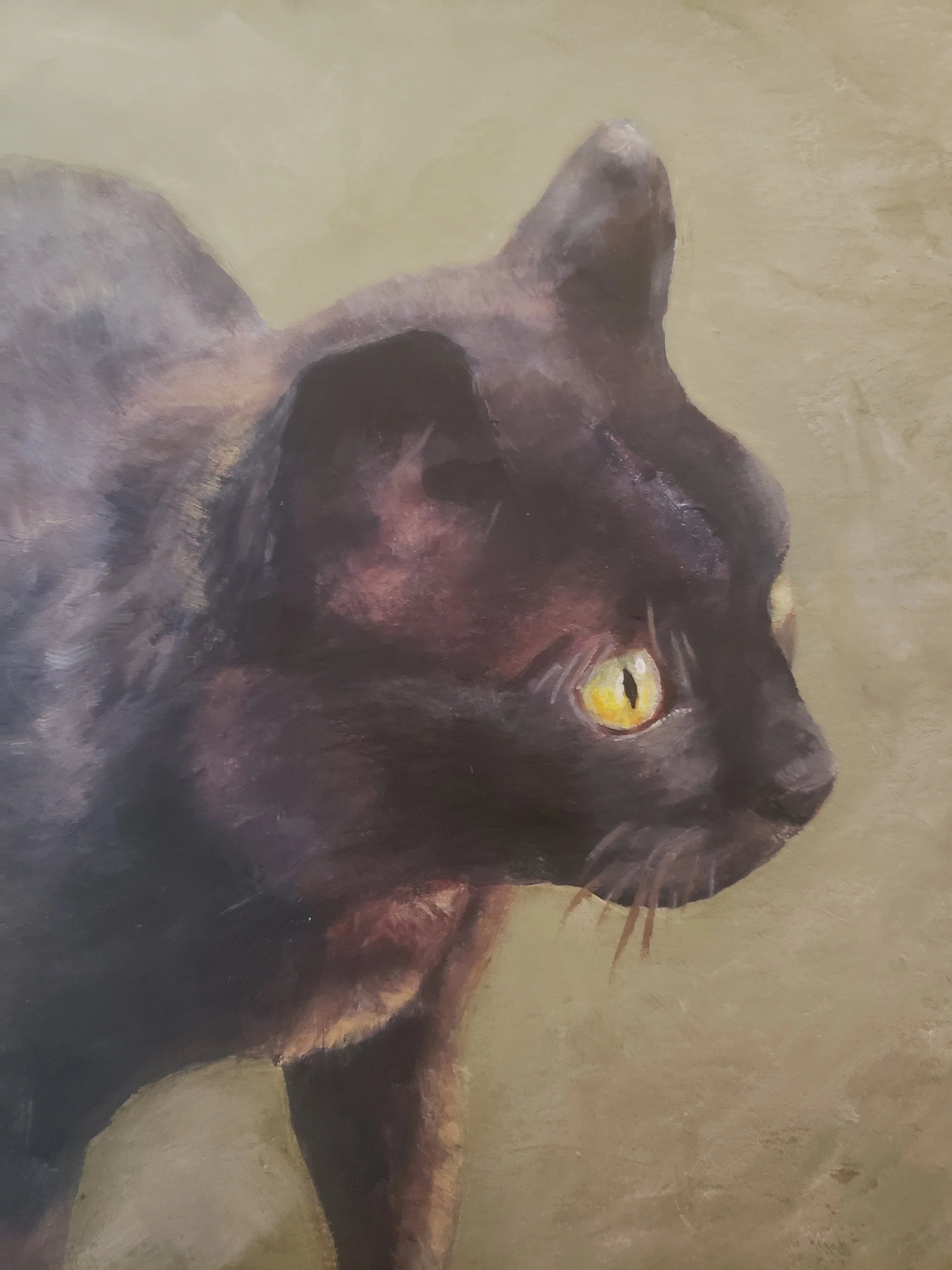 Squirt, pastel.