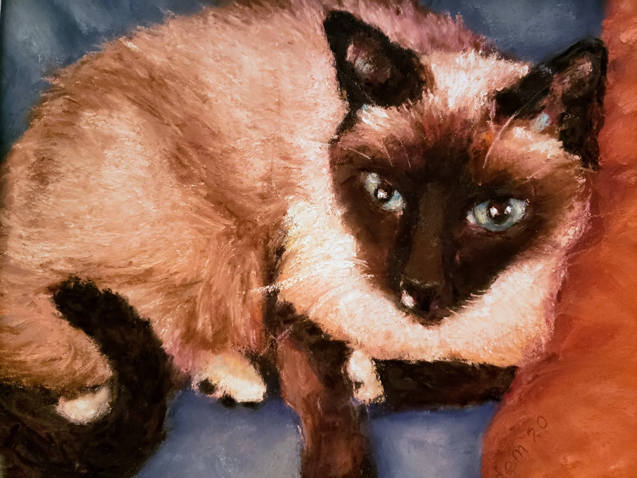 Lobo, watercolor and pastel.