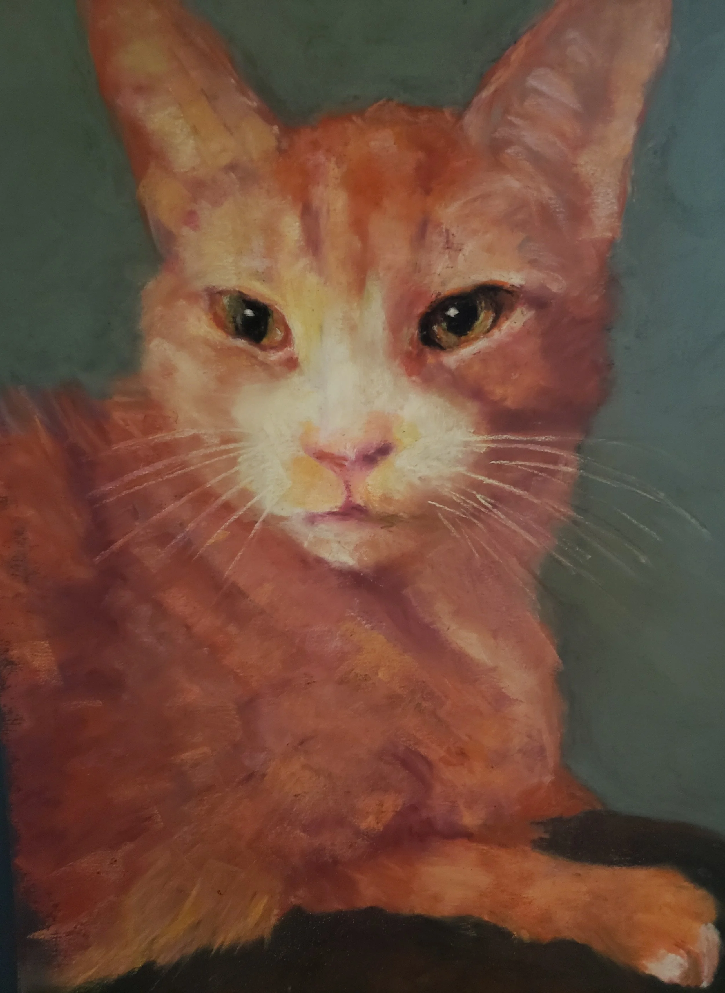 Pumpkin, pastel.