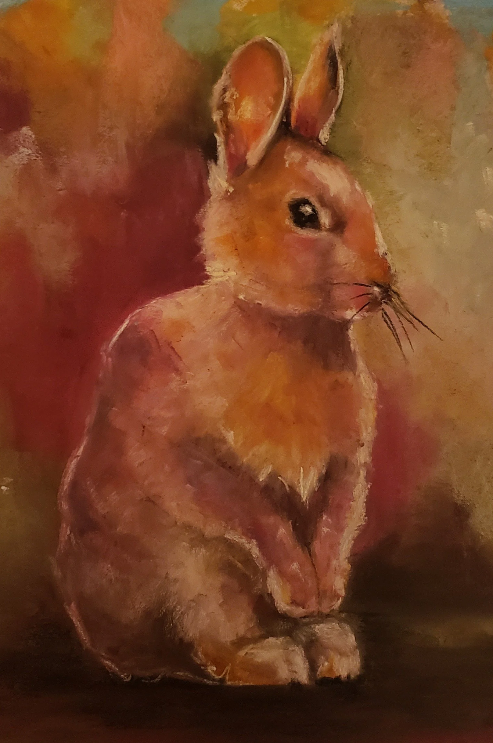Marla bunny study, pastel.