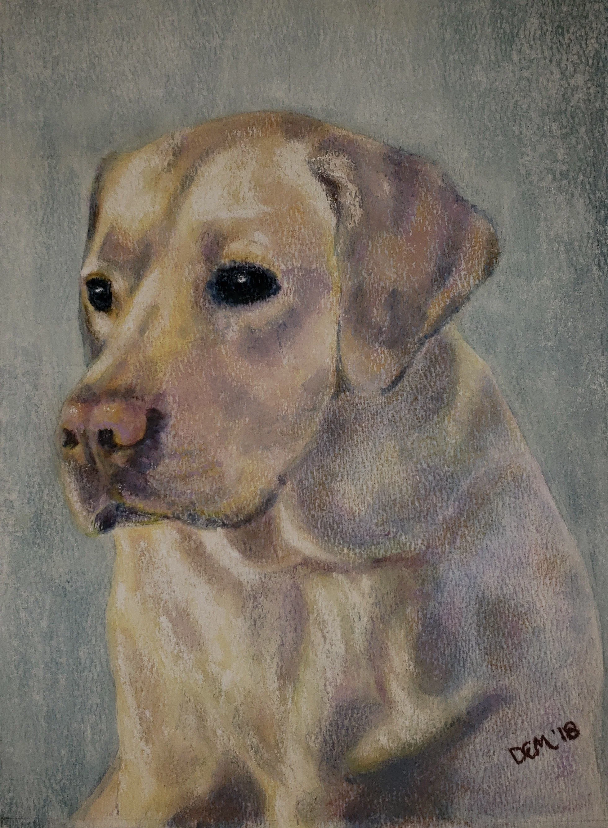 Murphy, pastel.