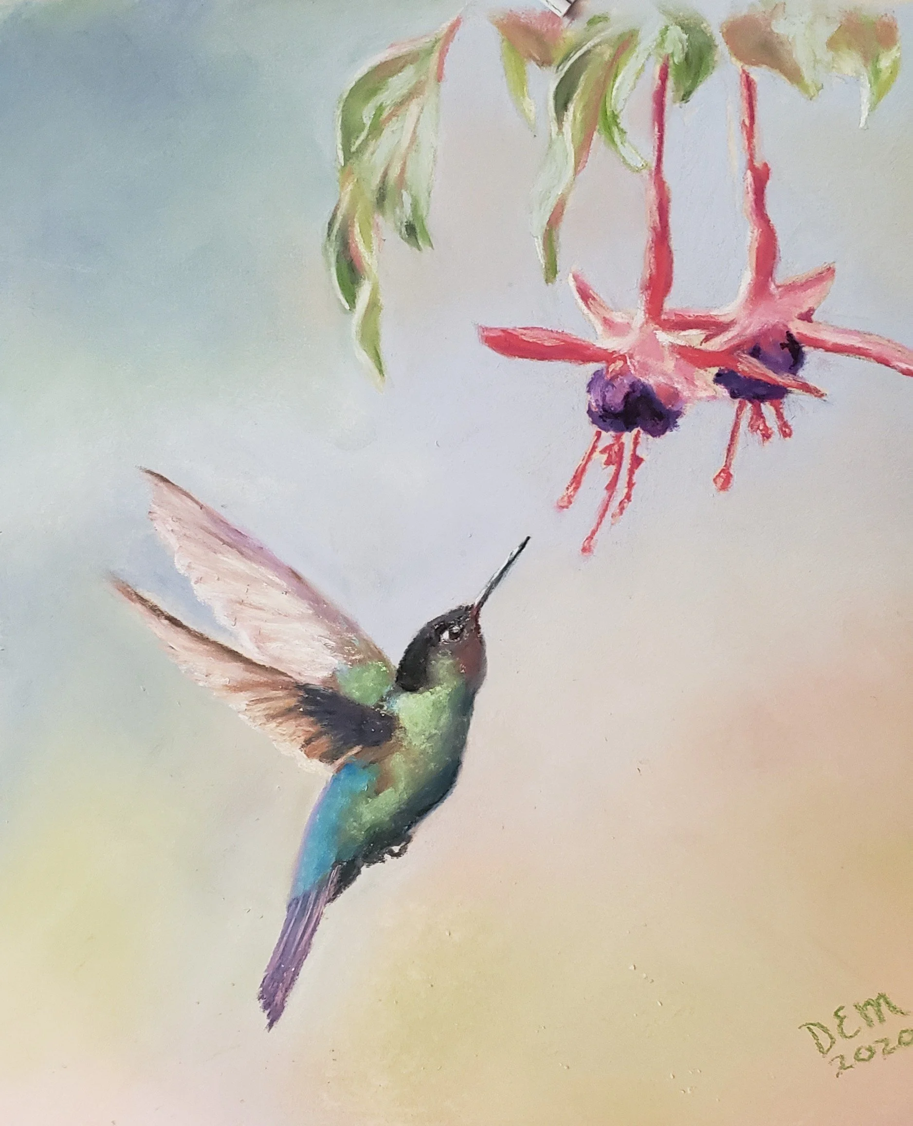 Hummingbird, study. Pastel.
