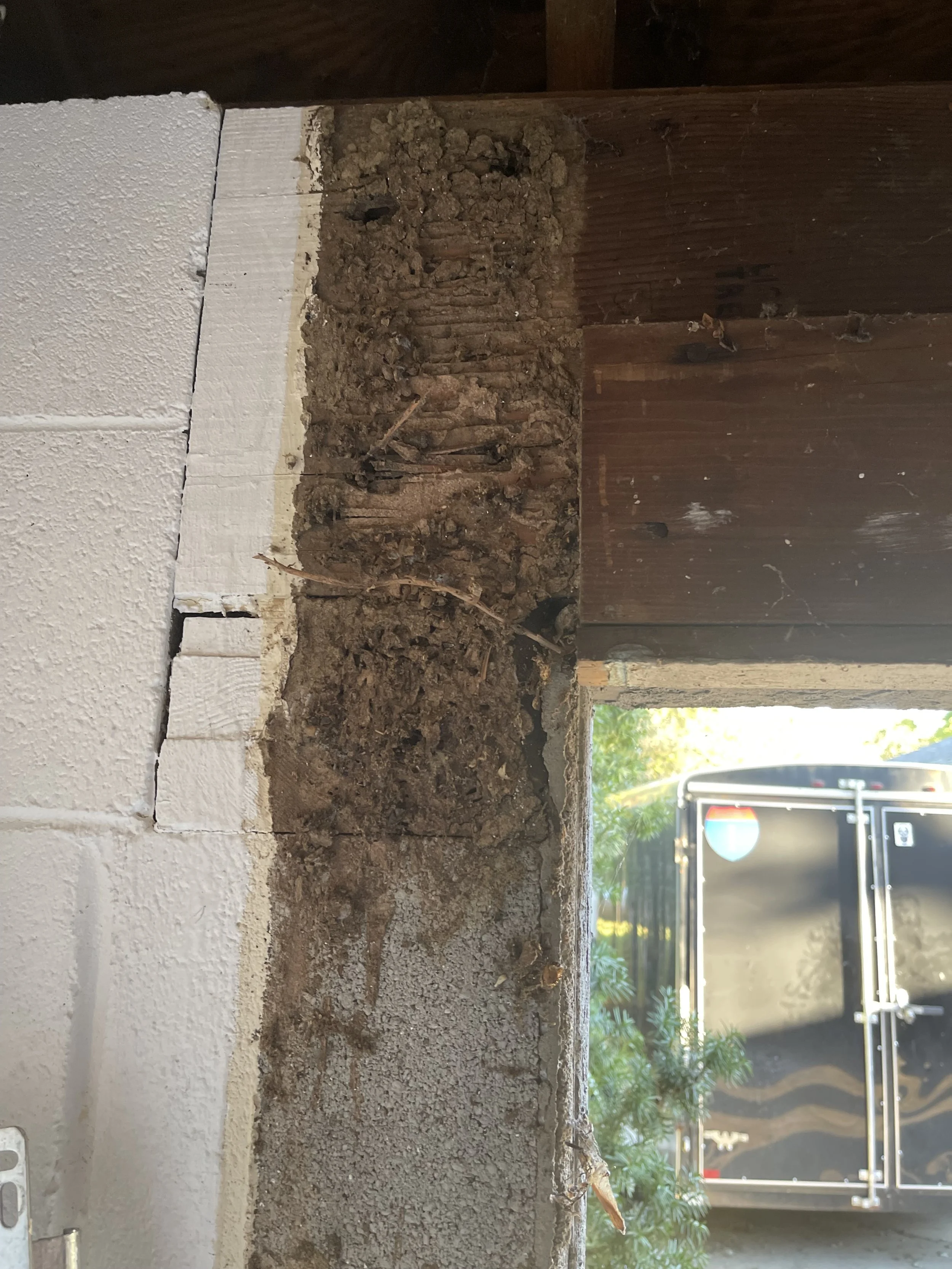 Before Replacement: Header damaged by insect activity. The damage causes weakness in the header and could lead to a collapse