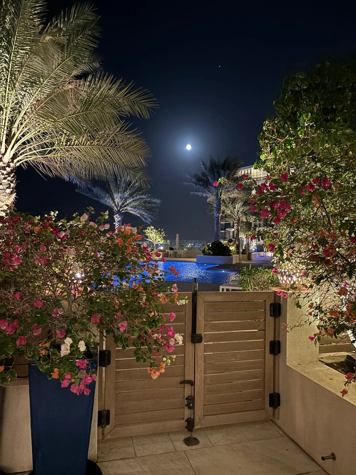 Warm evenings with ocean views and tranquil resort surrounds.