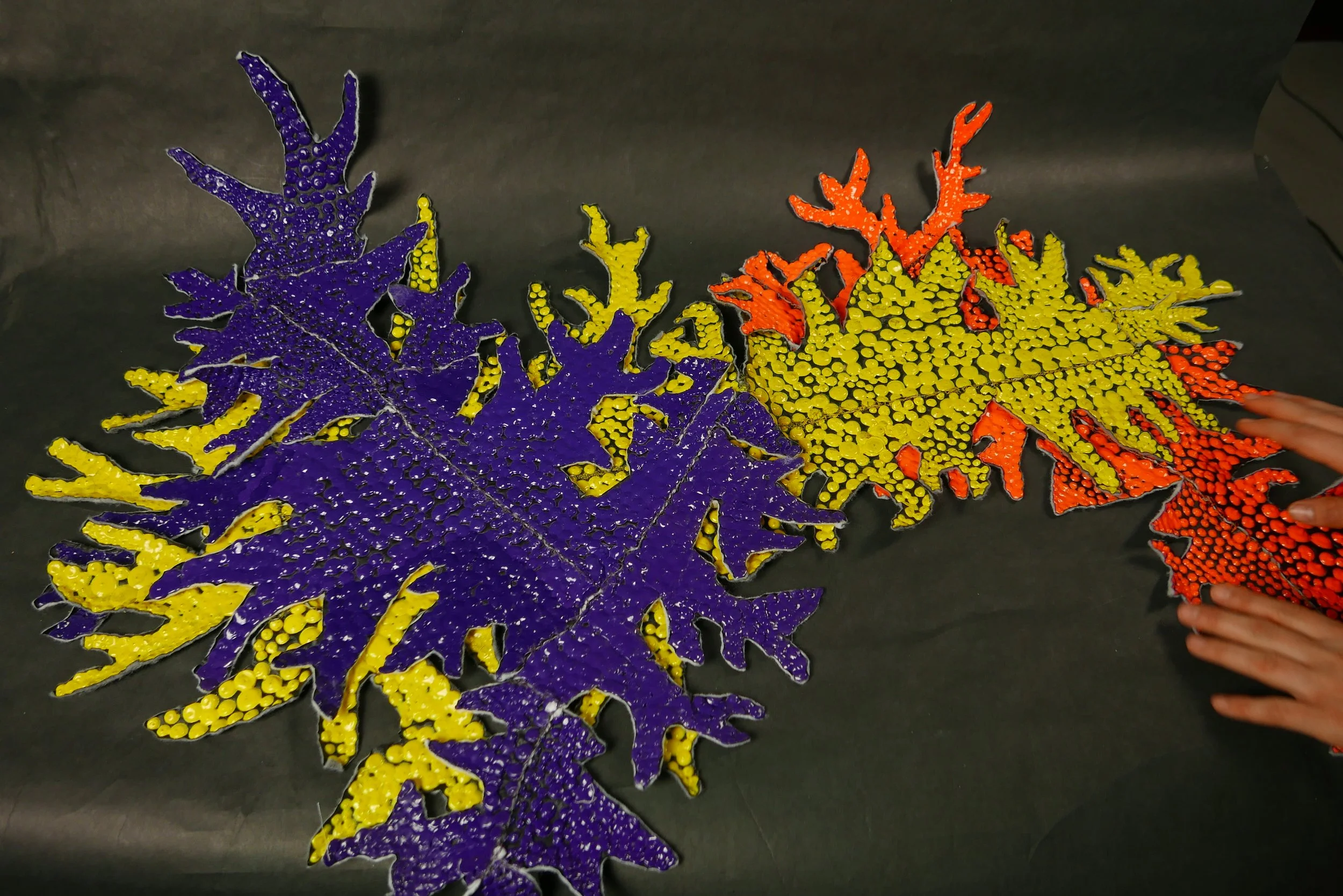 Hides Collection: Colourful