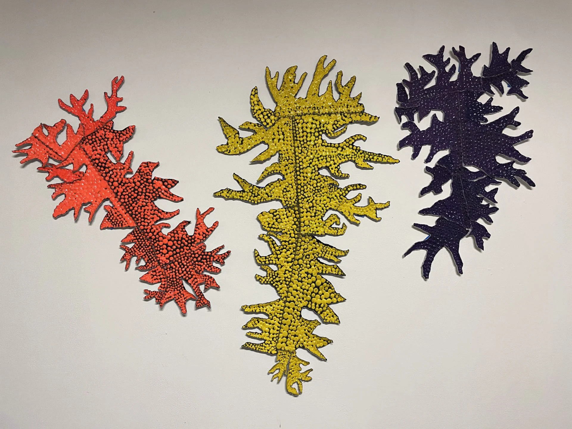 EGP Hides Collection for High In Fiber_IMG_4147.jpg