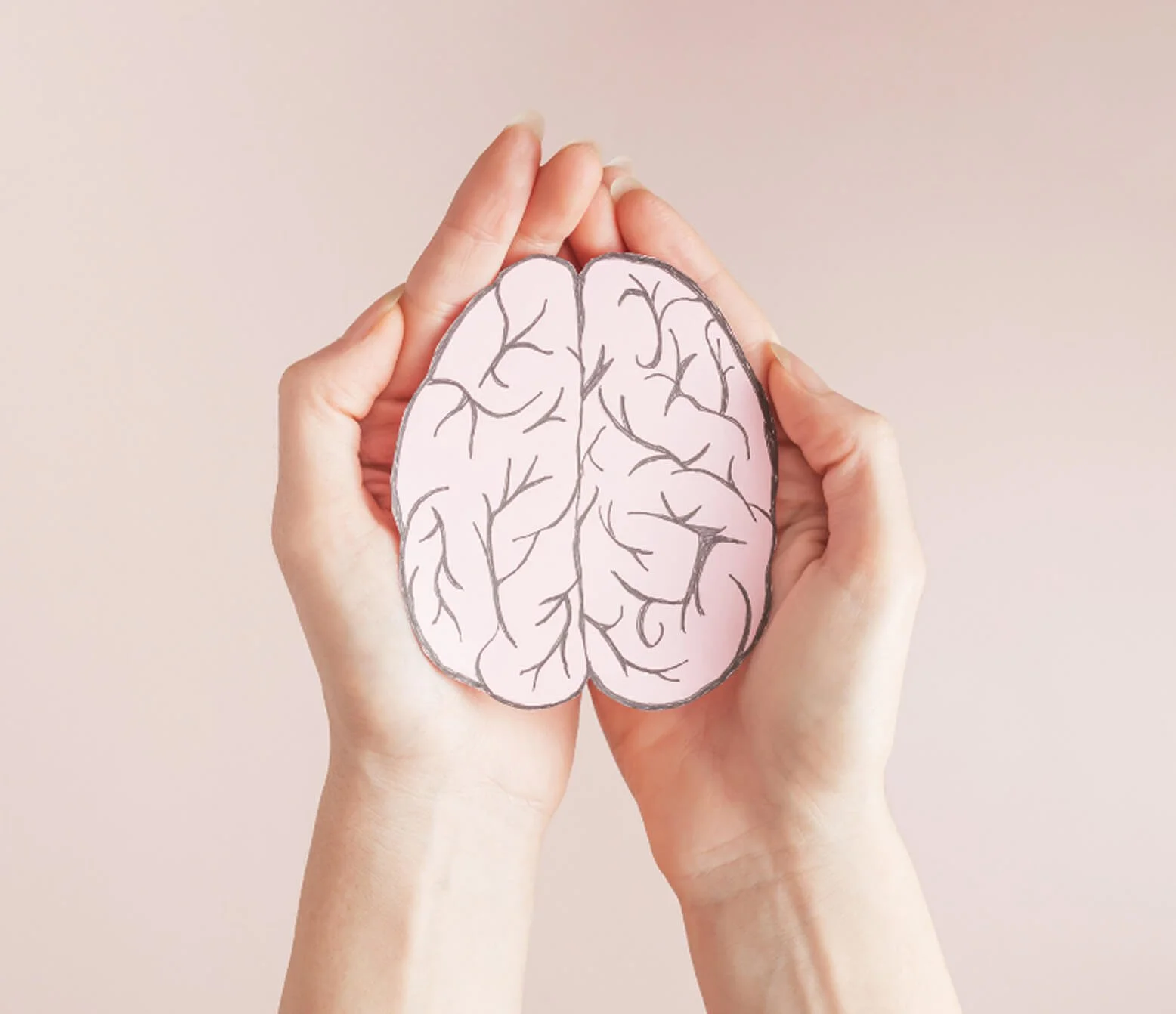 Brain & Nerve Disorders