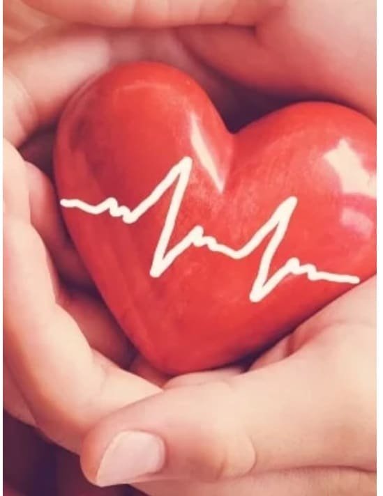 Mild hyperbaric hyperoxia improves aerobic capacity and suppresses cardiopulmonary stress during the maximal cycle-ergometer test