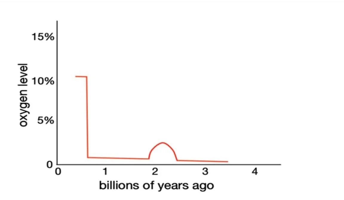 Did more oxygen and pressure in the pre-flood world have health benefits?