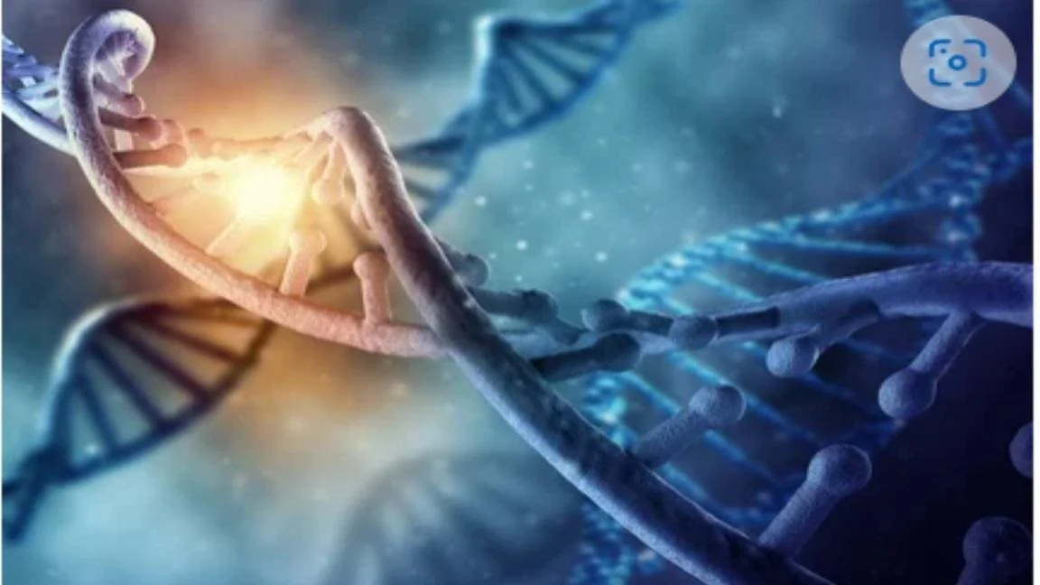 The Magic of HBOT for Increased Stem Cell Production