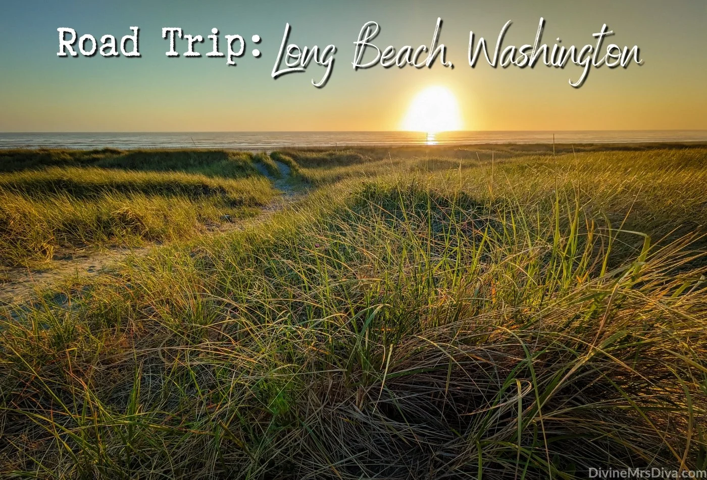 Road Trip: Long Beach, Washington