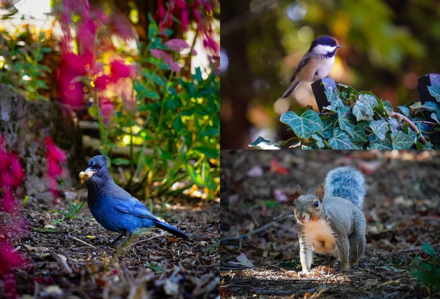 Community Center: Welcoming Fall