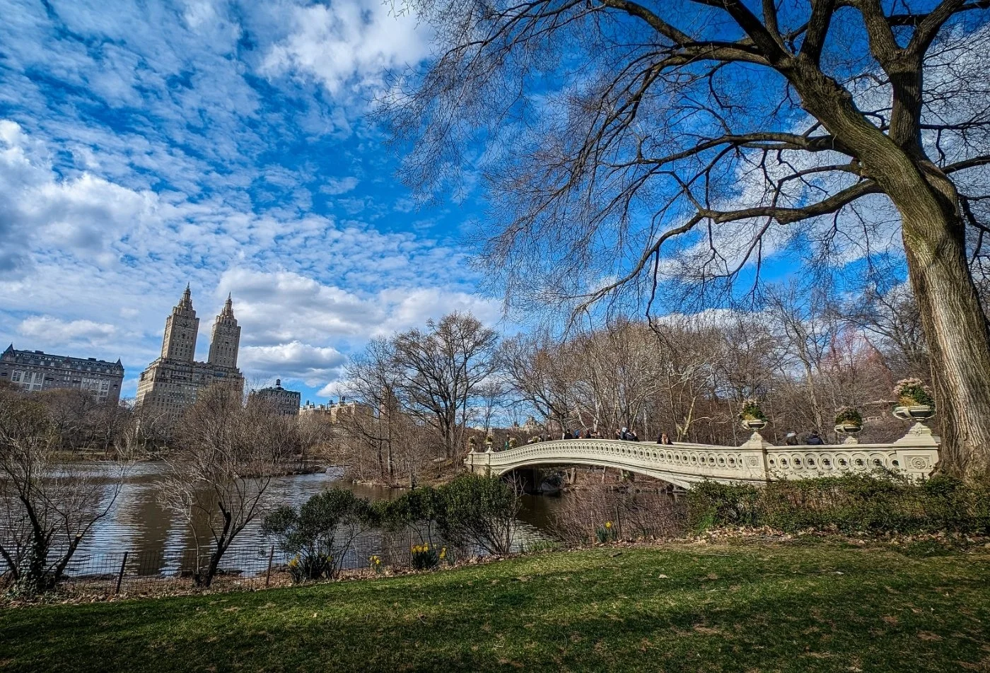 New York City:  American Museum of Natural History & Central Park
