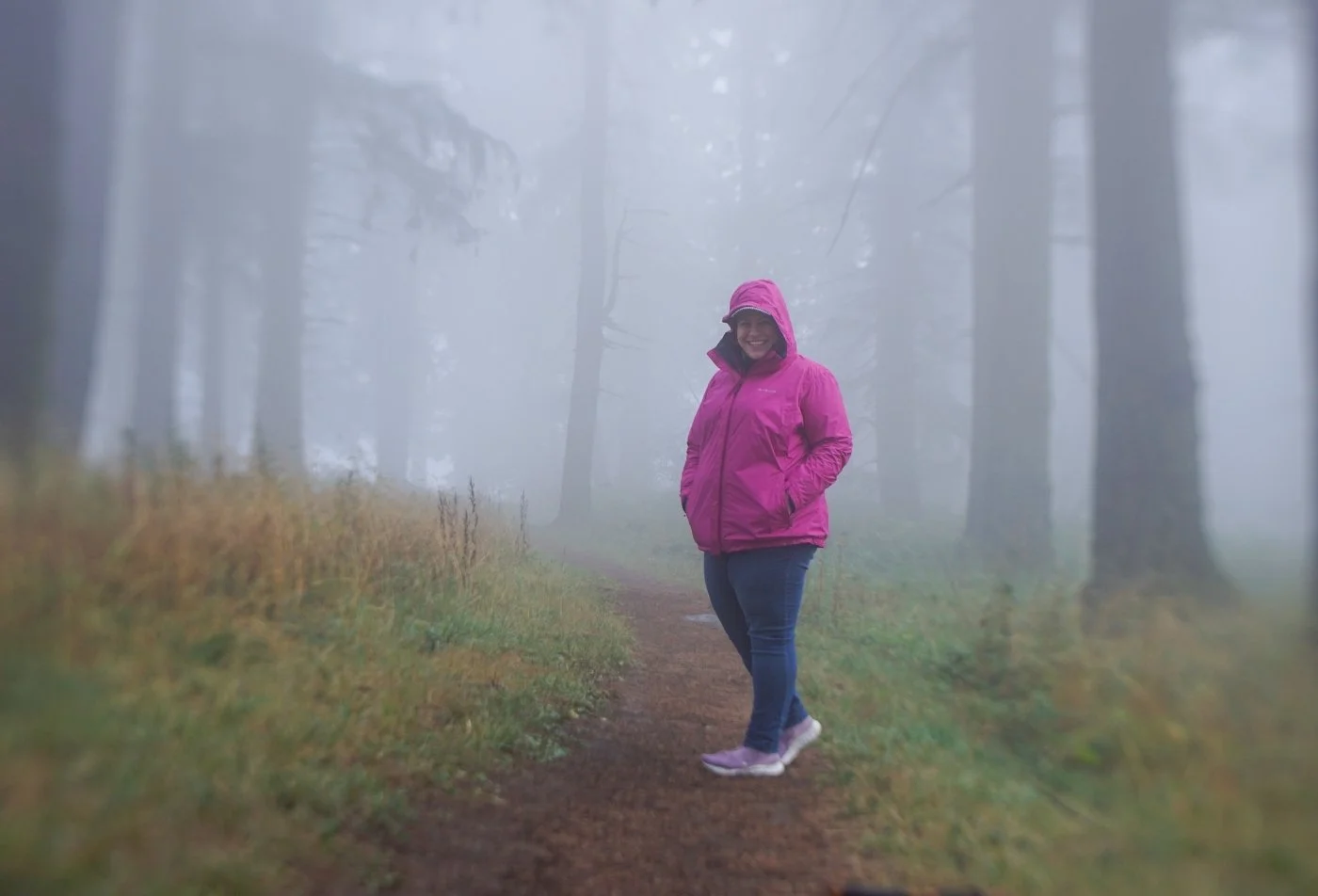 Walks in Nature: Foggy Forest Frolic