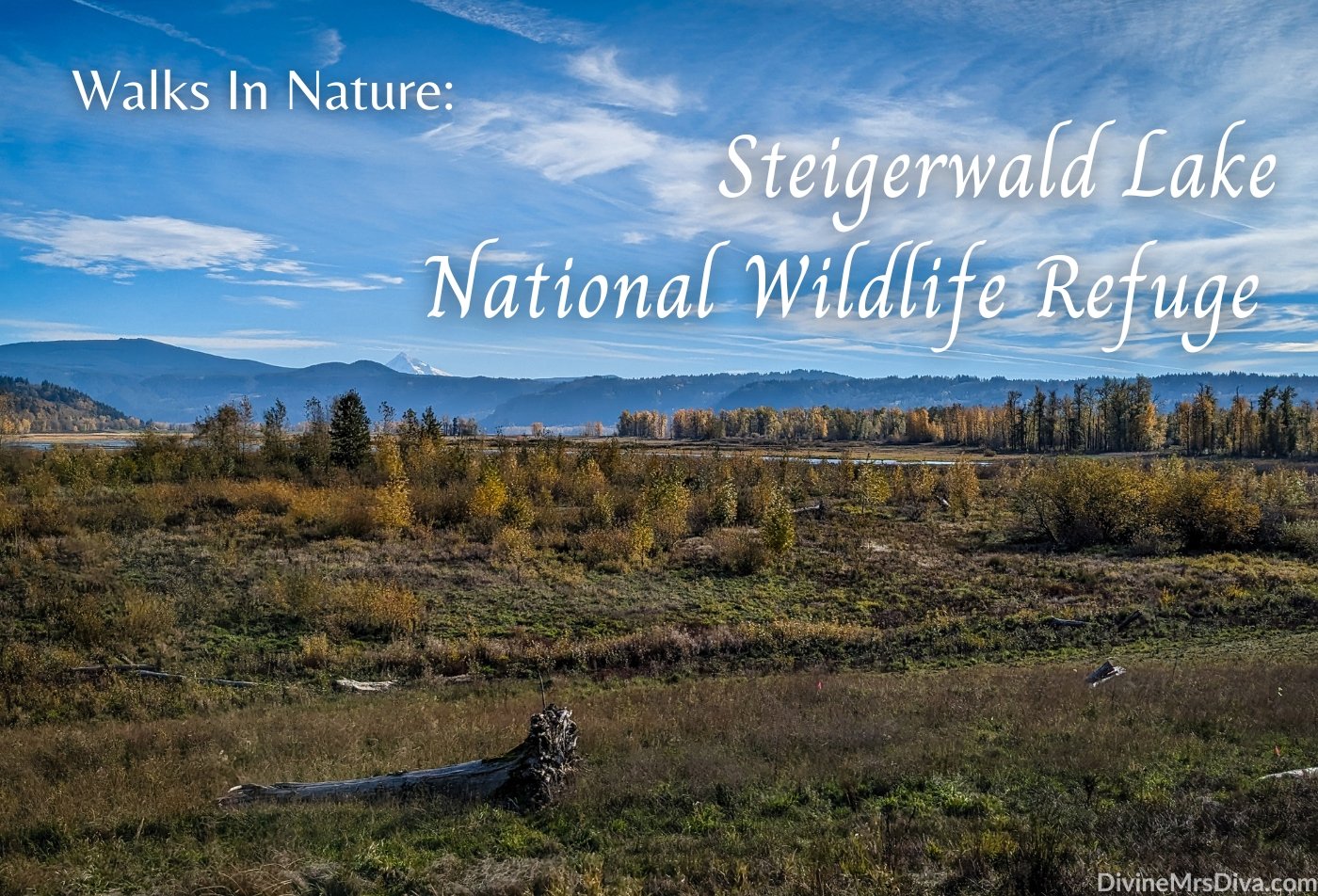 Walks in Nature: Steigerwald Lake National Wildlife Refuge