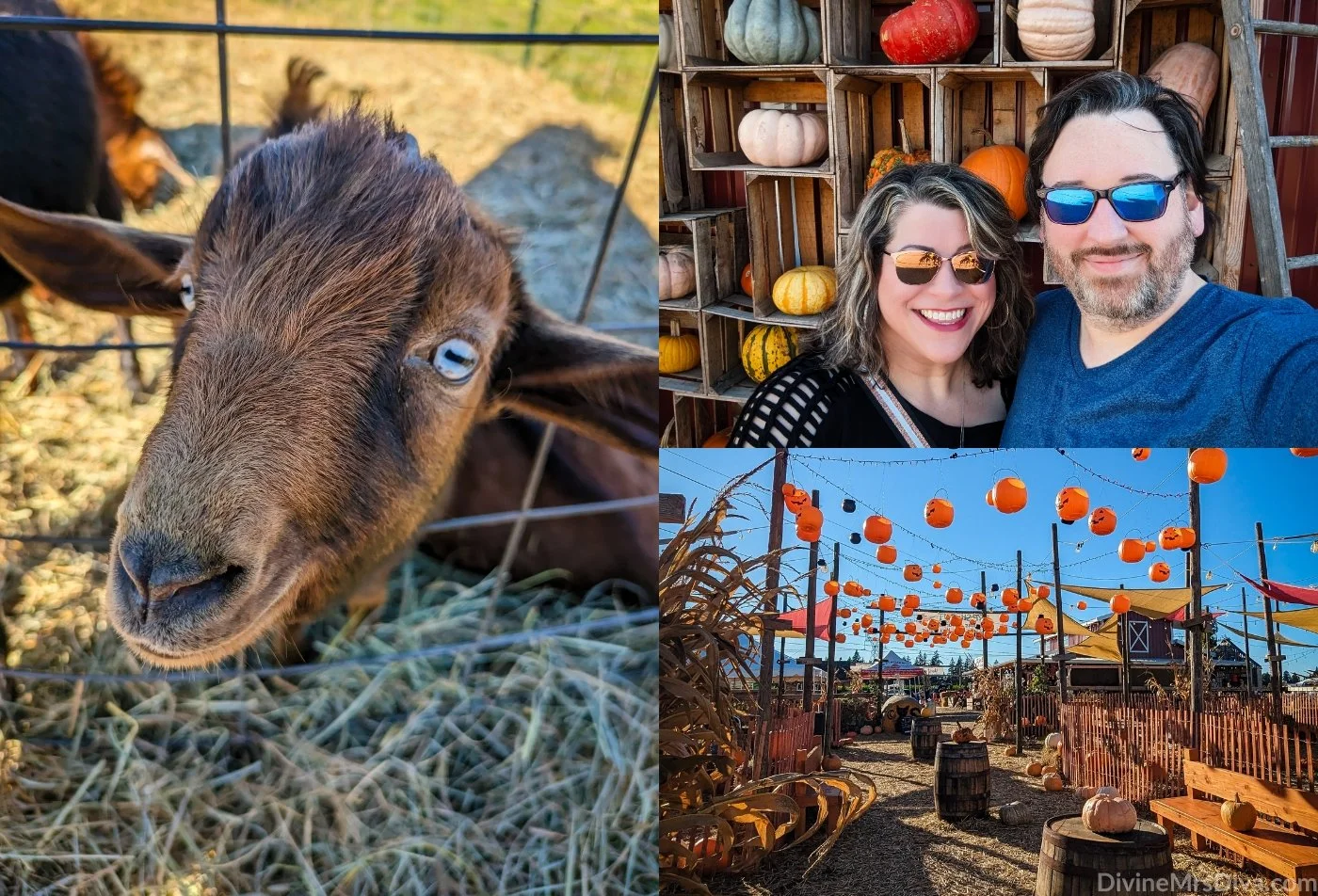 Fall Date: Portland Greek Fest, Frog Pond Farm, & Yesteryear Farms