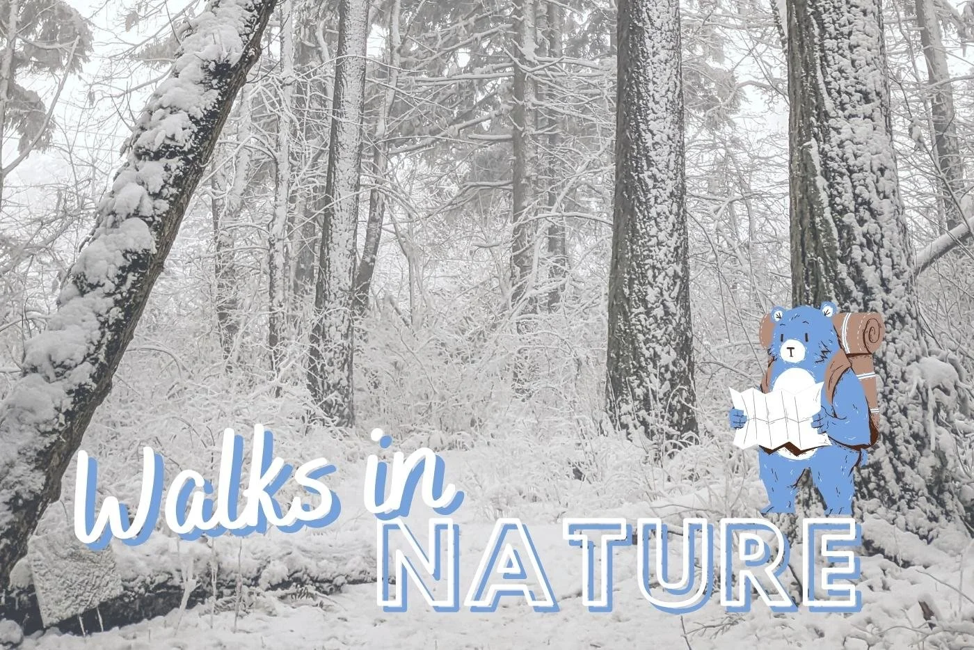 Walks In Nature: Snow Day!