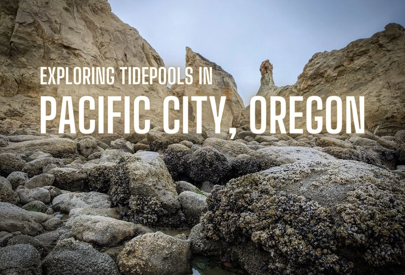Exploring Tidepools in Pacific City, Oregon