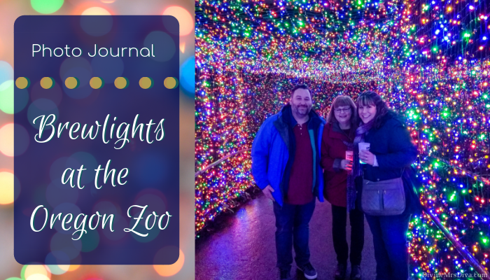 Photo Journal: Zoolights 2018