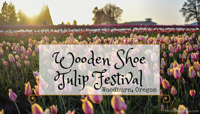 Photo Journal: Wooden Shoe Tulip Festival- Woodburn, OR