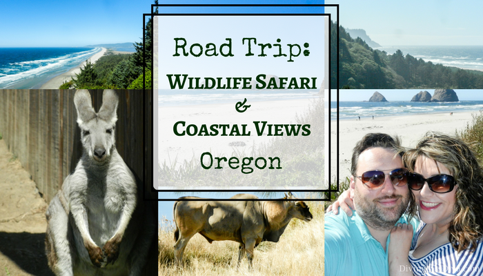 Road Trip: Wildlife Safari & Coastal Views, Oregon