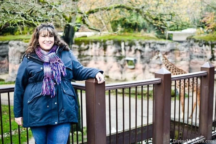 City Chic London Look Parka Review + Oregon ZooLights Visit