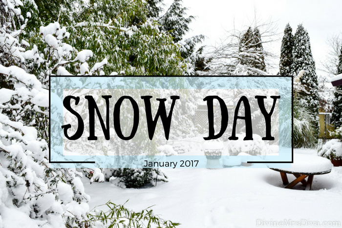 Snow Day!