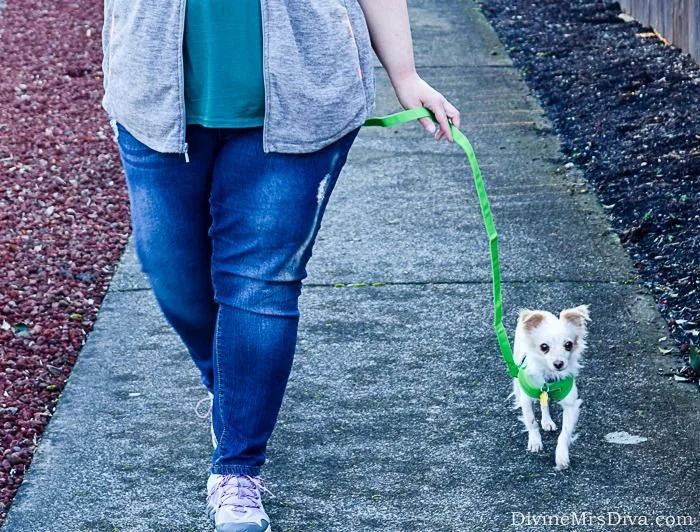 What I Wore: Un-boycotting Old Navy