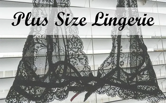 Plus Size Lingerie: Where I Find It + Hips and Curves and Lane Bryant Review