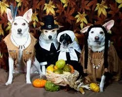 Happy Thanksgiving!