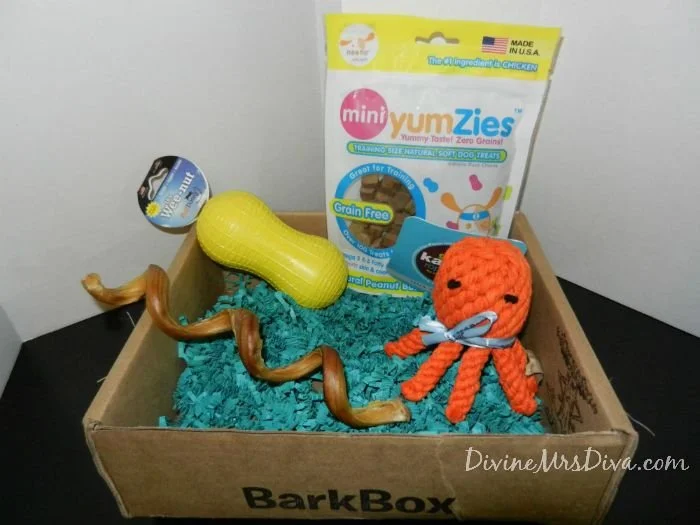 Barkbox - January 2013