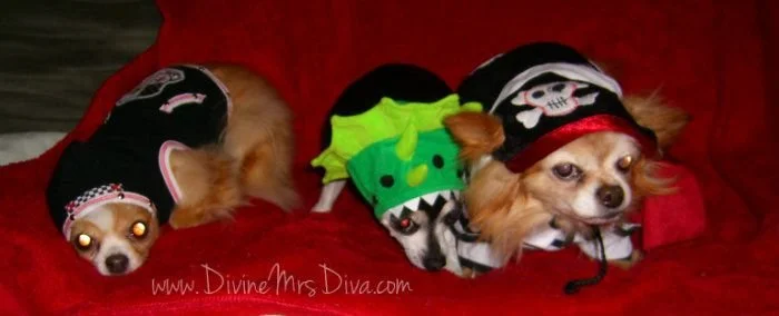 Happy Halloween!