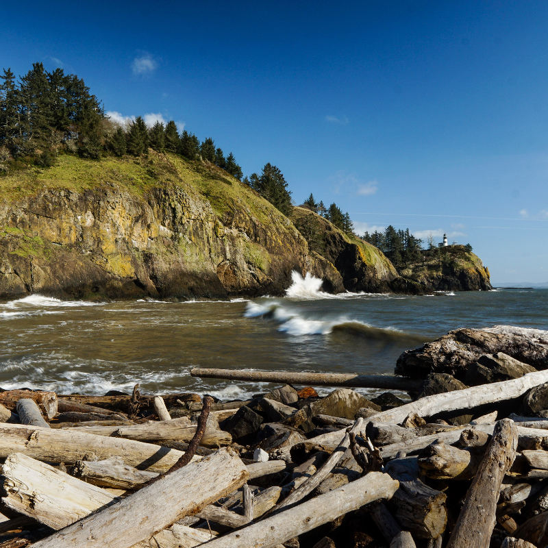 A rocky beach with driftwood in the foreground, waves crashing against the shore, green cliffs covered in trees on the left, and a lighthouse on the right.