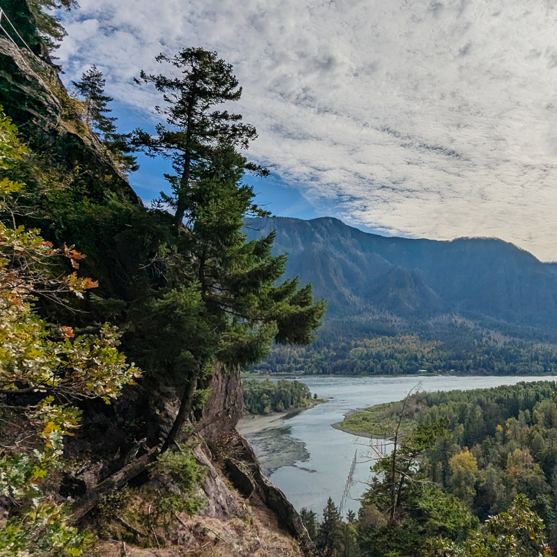 A scenic view of a river winding through a forested mountain valley with a partly cloudy sky.
