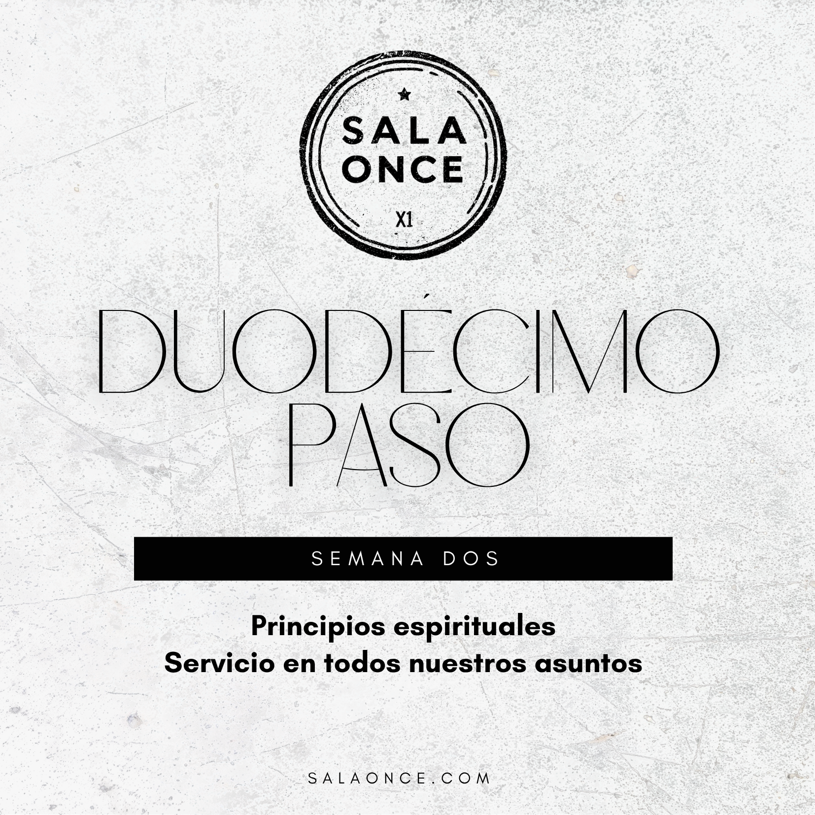 Duodécimo Paso (II)