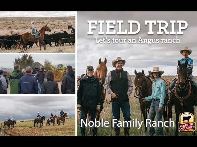 Collage of scenes from a ranch field trip including horseback riding, a group of people, and cattle, with a title 'Field Trip: Let's tour an Angus ranch' and a 'Certified Angus Beef' logo.