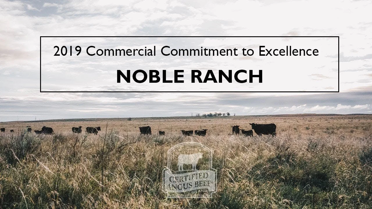 A field with cows grazing, cloudy sky, and a sign that reads 'Certified Angus Beef' in the foreground, with a banner overlayed that states '2019 Commercial Commitment to Excellence NOBLE RANCH'.