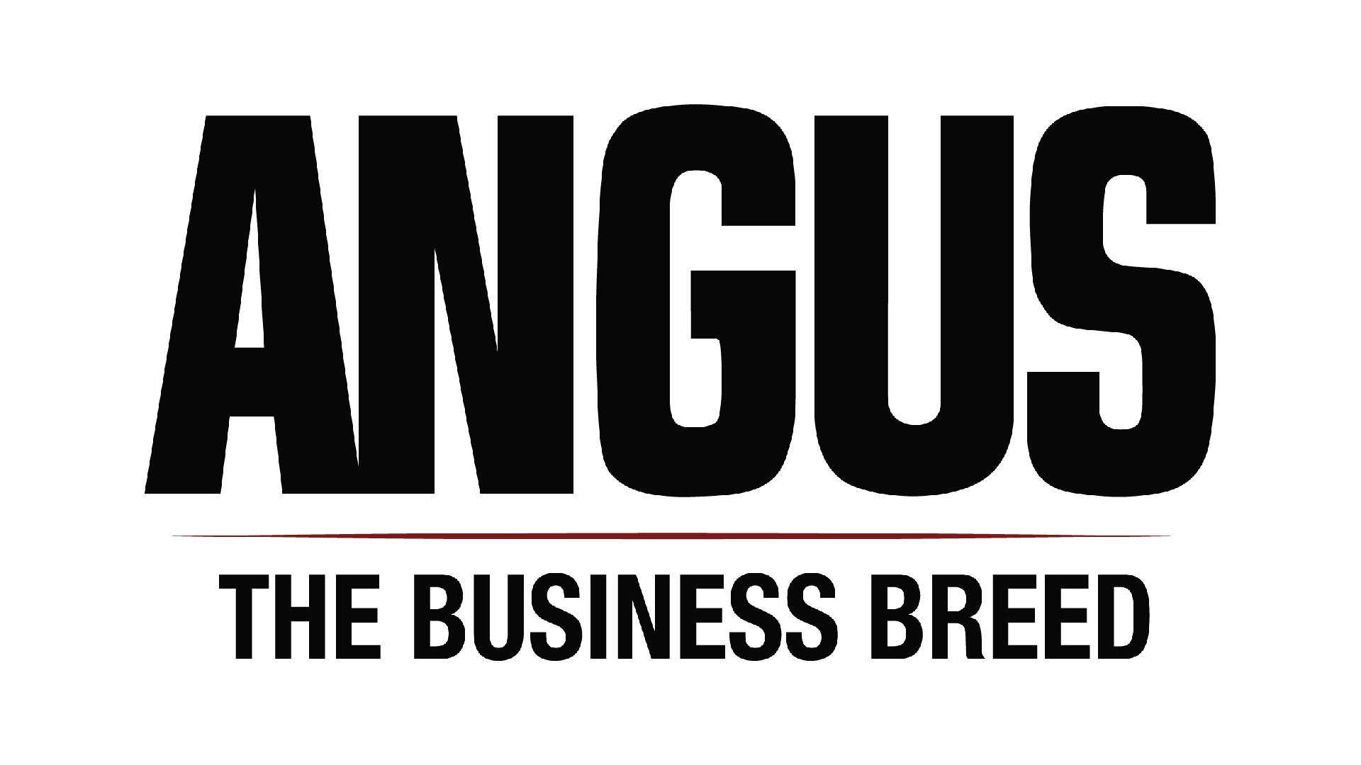 Logo with large black text reading "ANGUS" and smaller black text underneath that says "THE BUSINESS BREED"