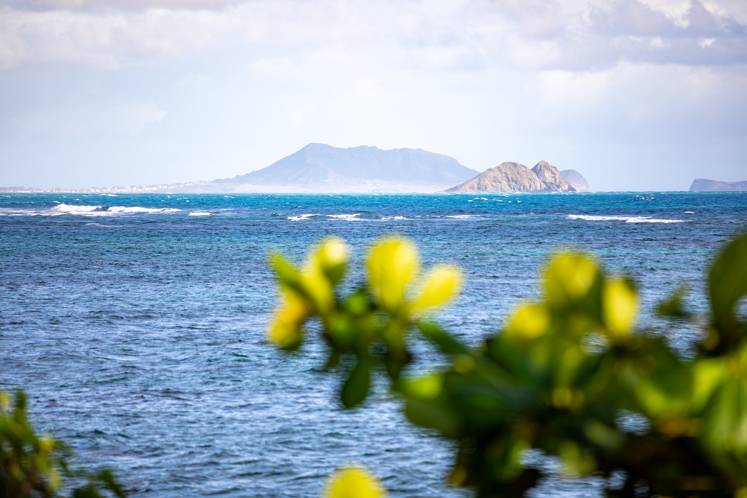 A view of a blue ocean with small waves, distant mountains, and some islands in the background, with green leaves and yellow flowers in the foreground.