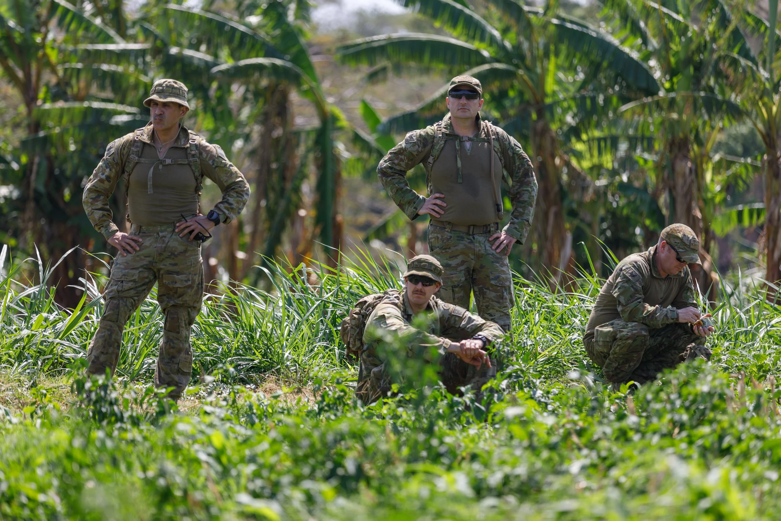 Five soldiers in camouflage uniforms and tactical gear in a lush, green outdoor setting with tall grass and banana trees.