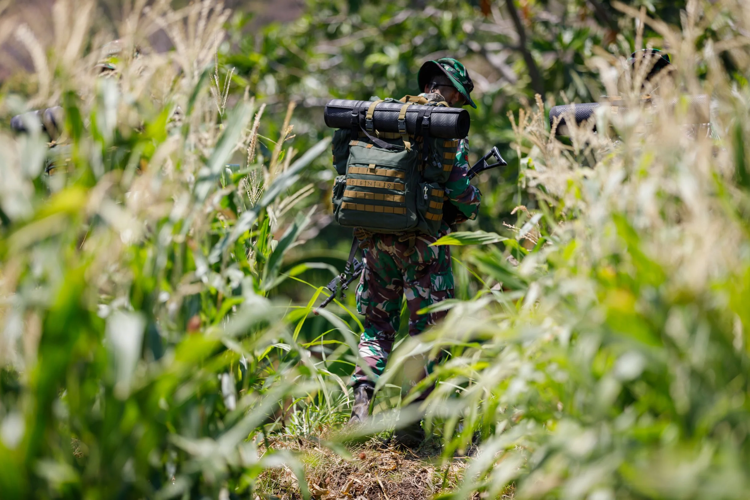 A soldier in camouflage uniform hiking through tall green grass in a rural outdoor setting.