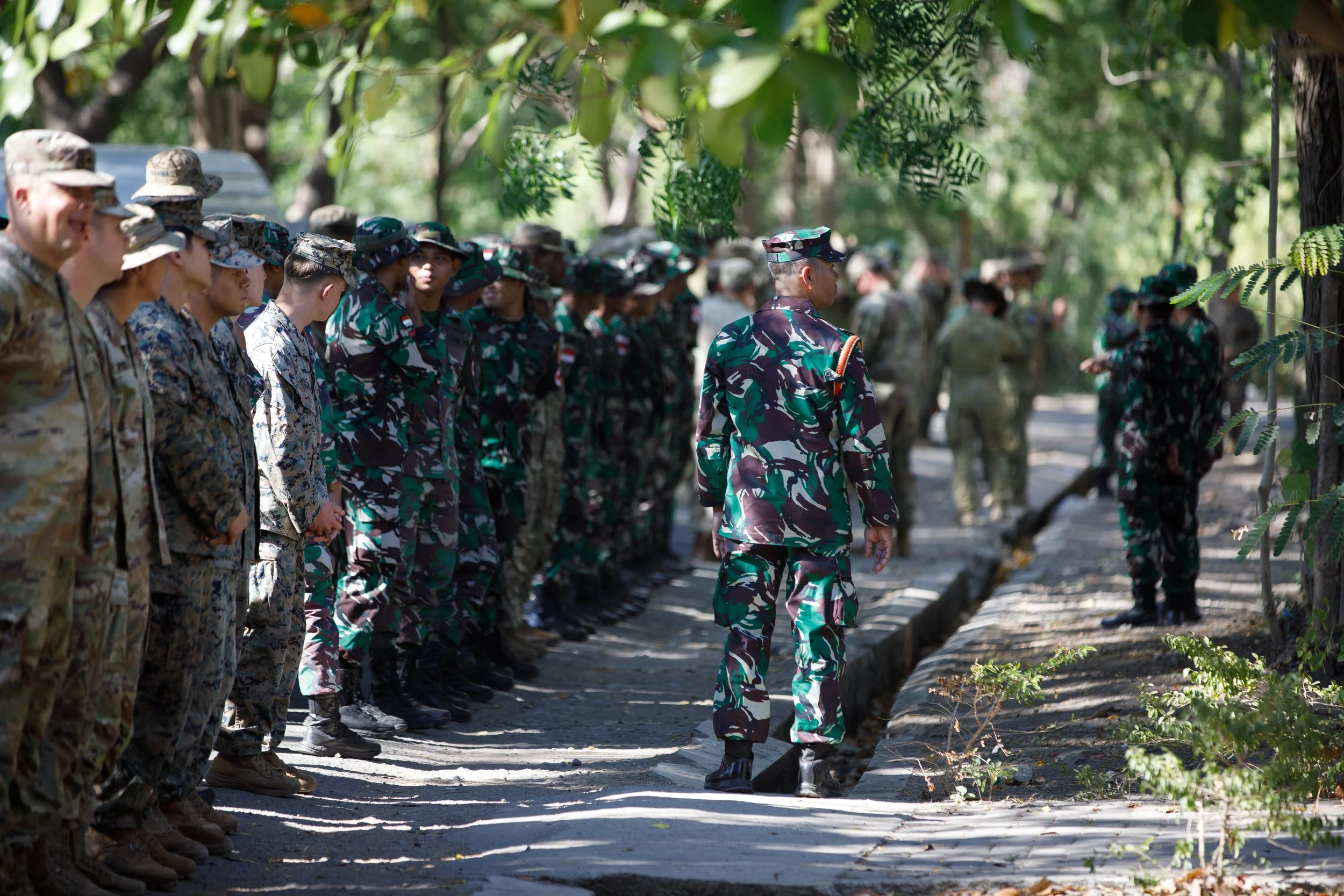 Group of soldiers standing in formation outdoors, with one soldier facing away from the camera. They are wearing camouflage military uniforms and hats, and are surrounded by trees.