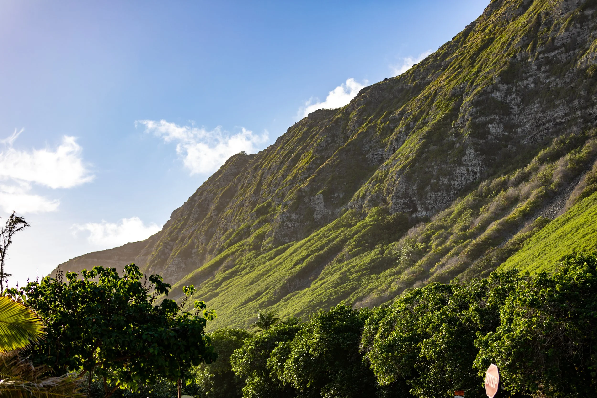 Green mountains with lush vegetation and a clear blue sky.