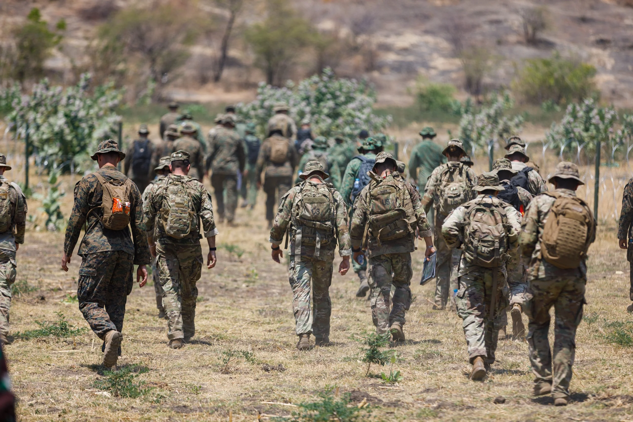 Group of soldiers in camouflage uniforms walking through a dry, sparsely vegetated landscape with barbed wire fencing and small trees.