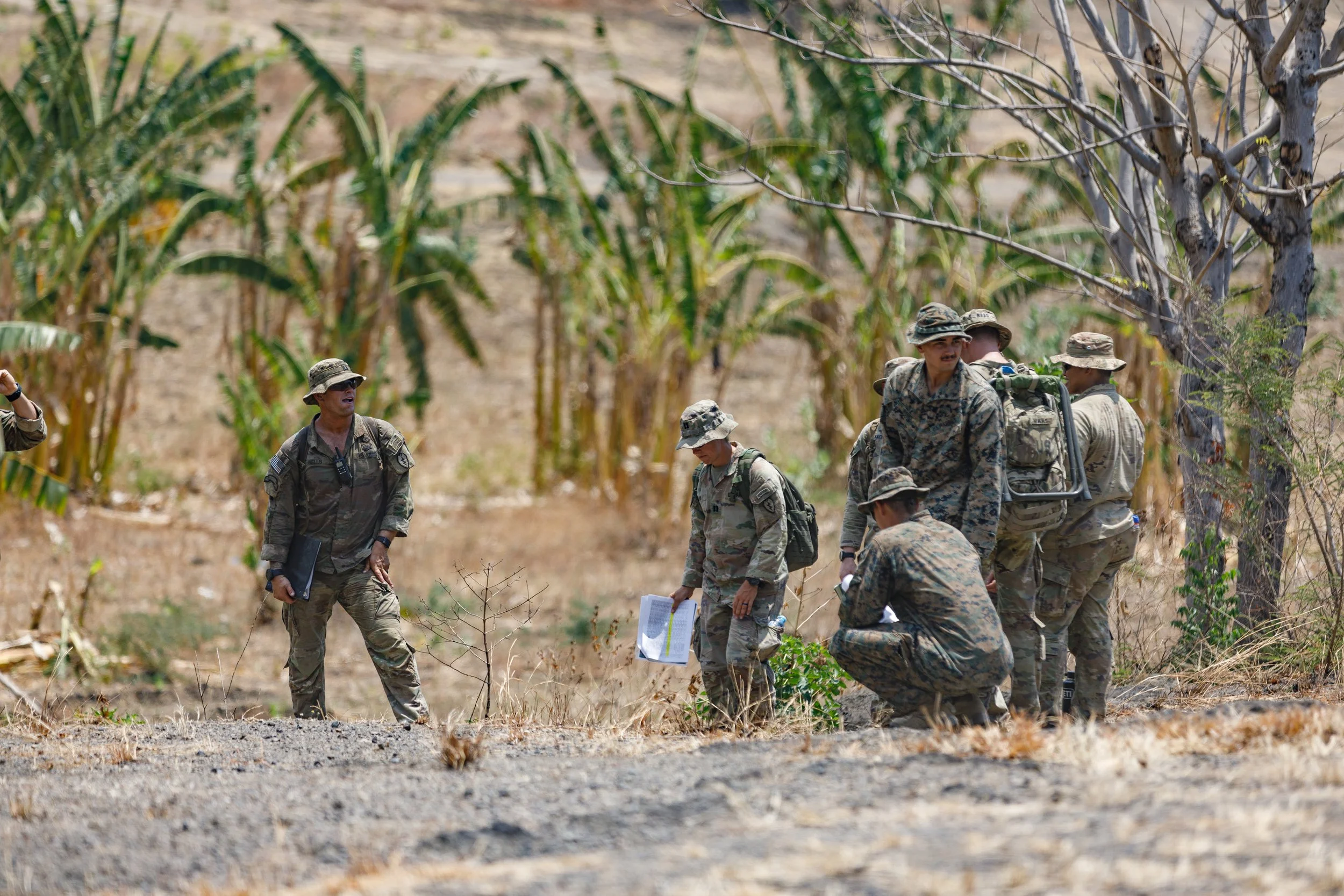 Group of soldiers in camouflage uniforms conducting field reconnaissance in a semi-arid environment with banana plants in the background.