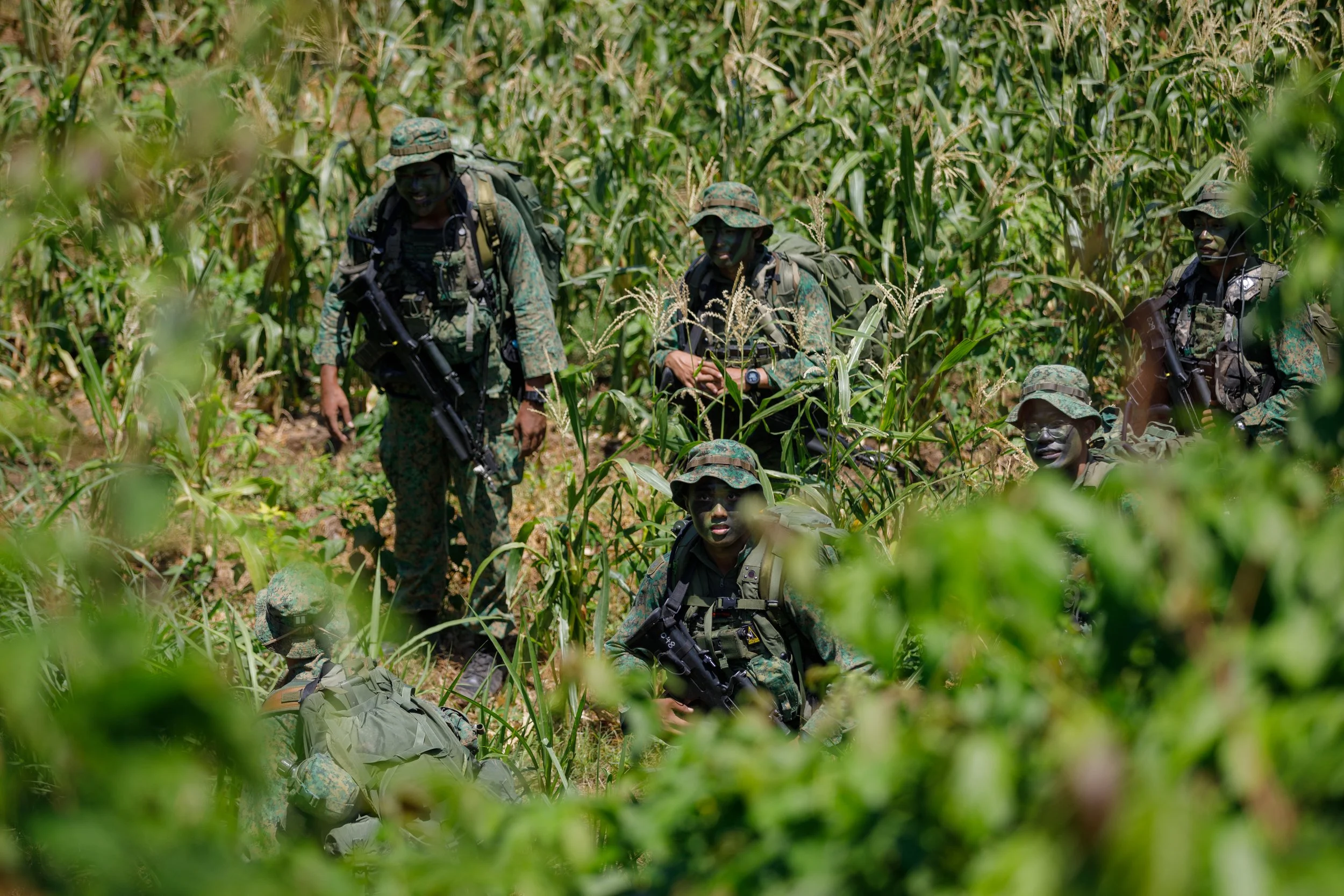 Group of soldiers in camouflage uniforms walking through tall grass and foliage in a jungle or forest area.