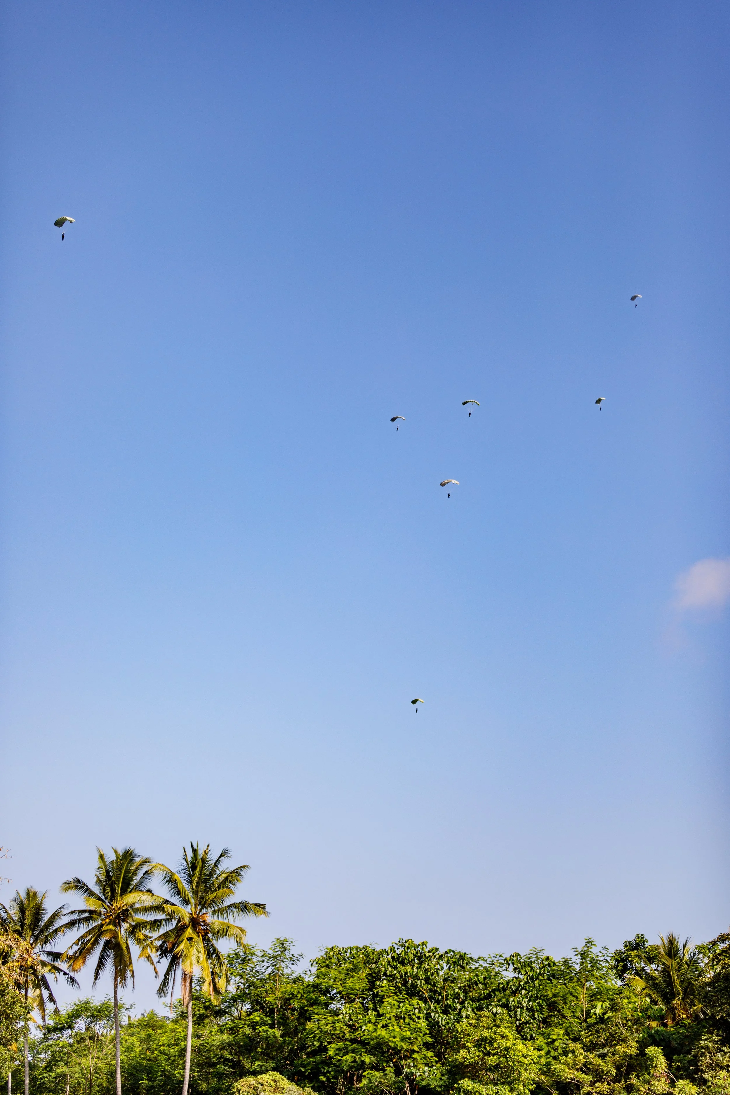 Sky with seven parachuters descending, over a landscape of green trees and palm trees