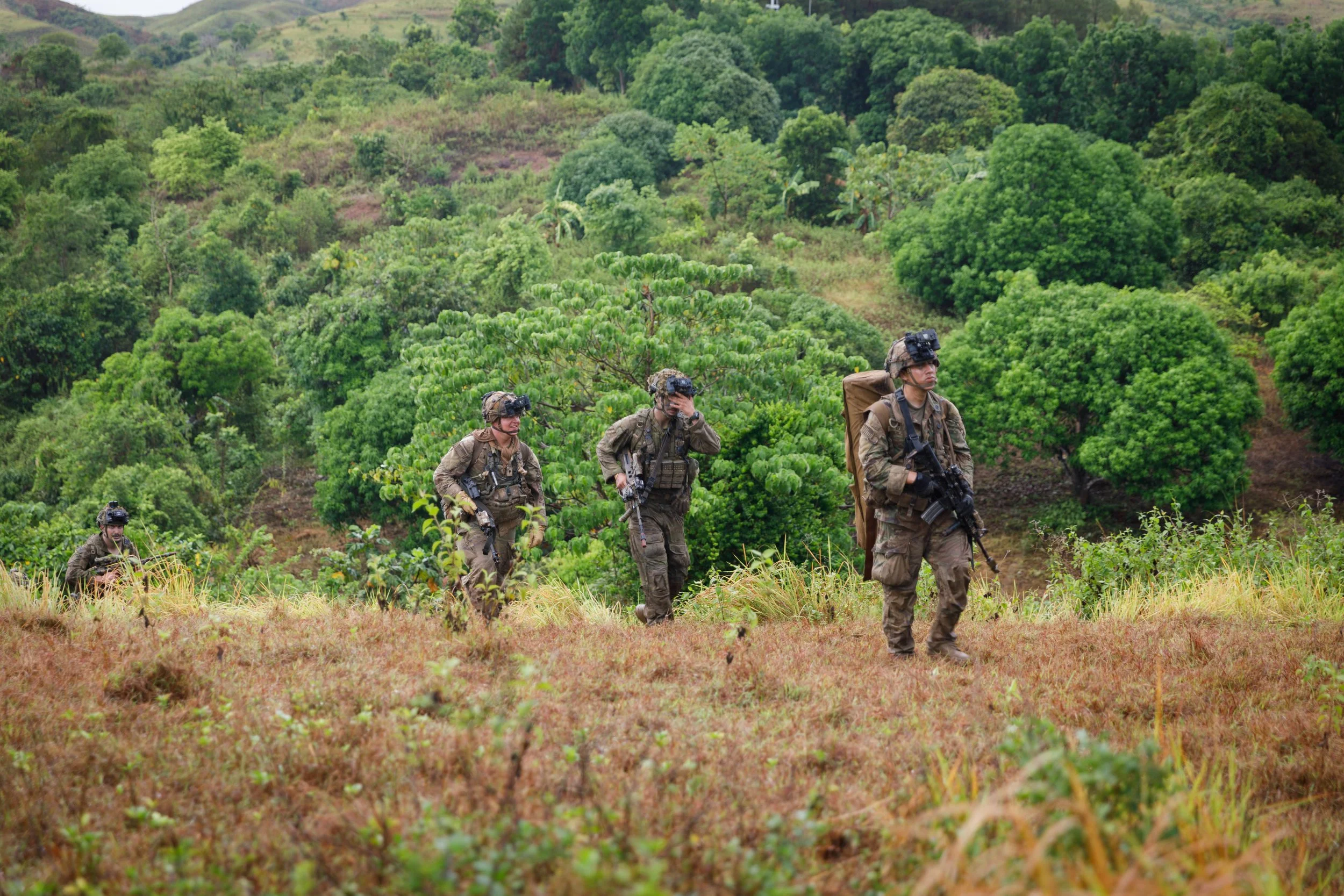 A group of soldiers walking through a lush green landscape with trees and grass