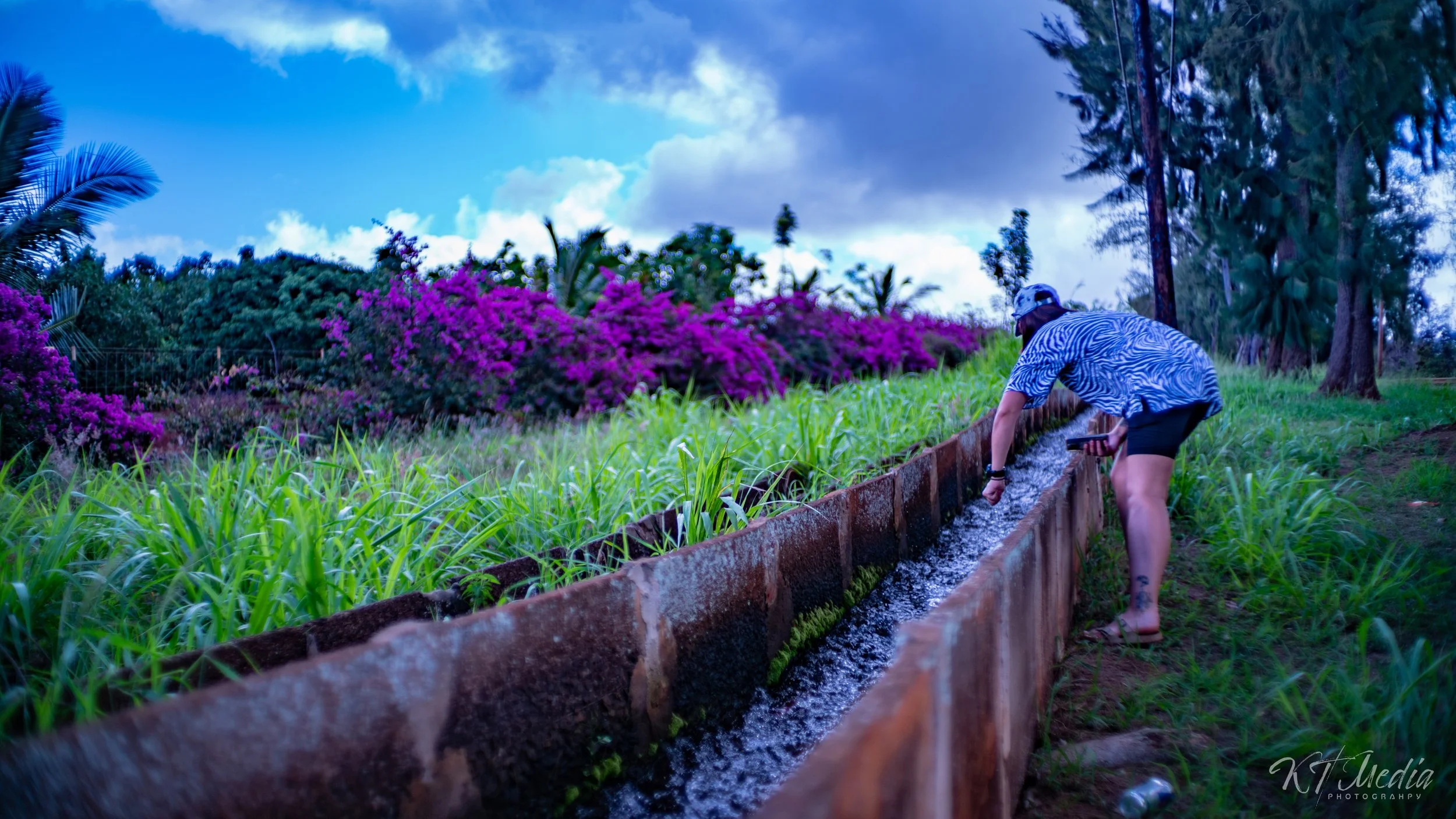 Person wearing a hat and striped shirt bends over a long rectangular garden bed, watering plants with a mobile device in hand, surrounded by lush green grass, vibrant purple flowers, and tall trees under a partly cloudy sky.